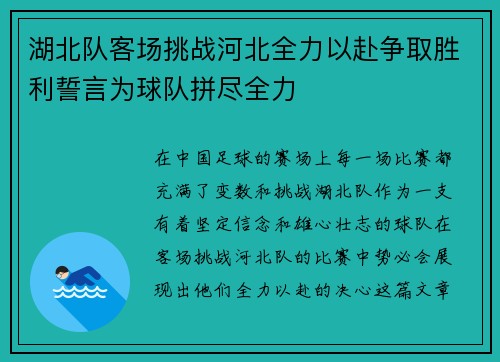 湖北队客场挑战河北全力以赴争取胜利誓言为球队拼尽全力